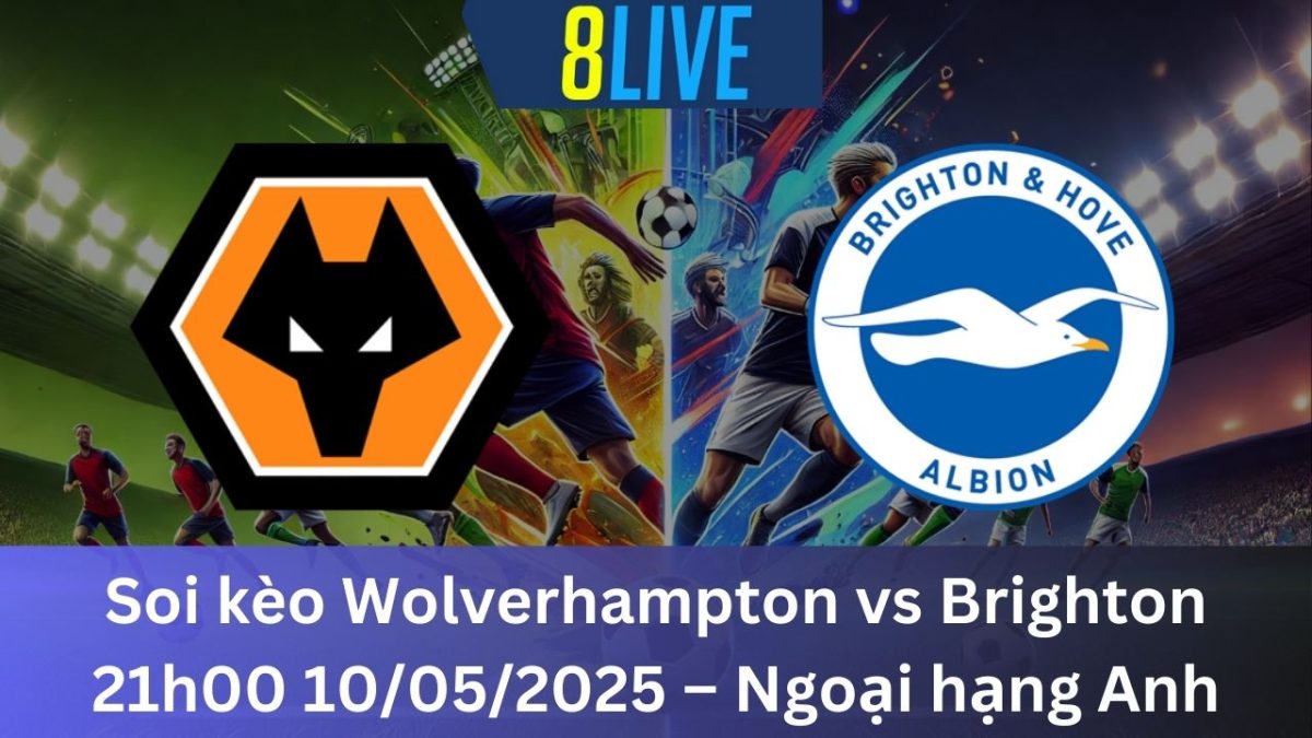 Soi kèo Wolverhampton vs Brighton 21h00 10/05/2025 – Ngoại hạng Anh