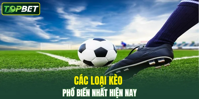 Các loại kèo phổ biến nhất hiện nay