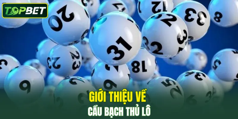 Giới thiệu về cầu bạch thủ lô