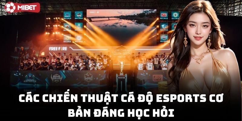 Chiến Thuật Cá Độ eSports ai cũng nên biết