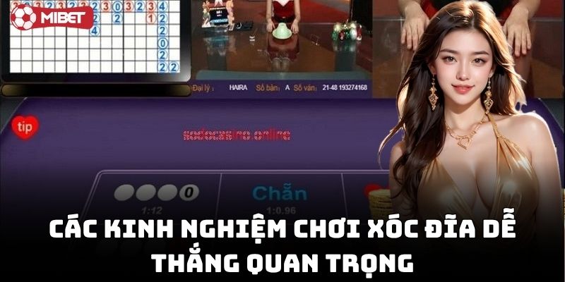 Kinh Nghiệm Chơi Xóc Đĩa Dễ Thắng dễ áp dụng