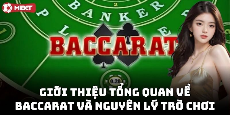 Cách Chơi Baccarat Luôn Thắng: Tìm hiểu trò chơi