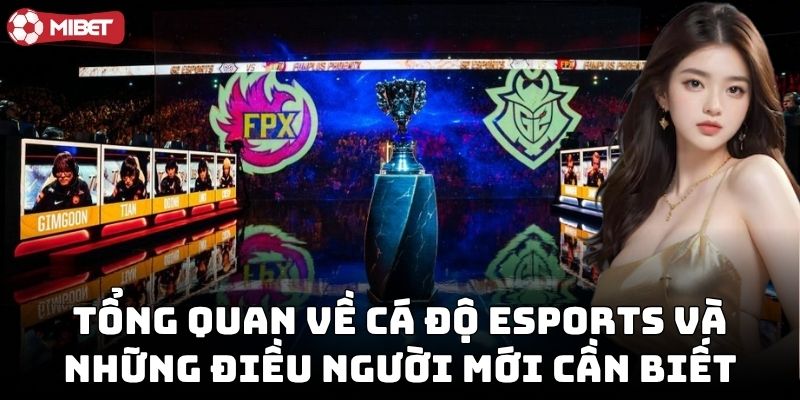 Chiến Thuật Cá Độ eSports giúp thắng dễ dàng