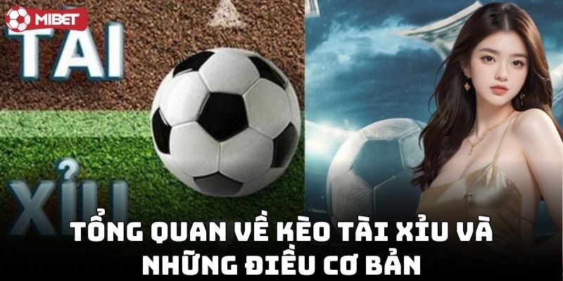 Cách Chơi Kèo Tài Xỉu Hiệu Quả dễ hiểu
