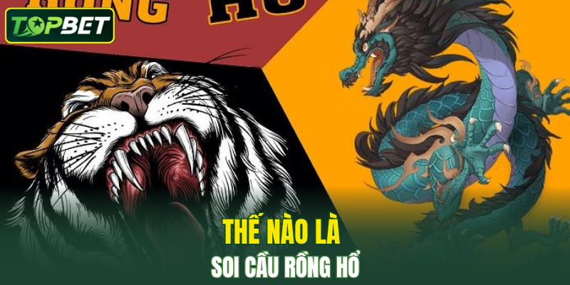 Thế nào là soi cầu rồng hổ