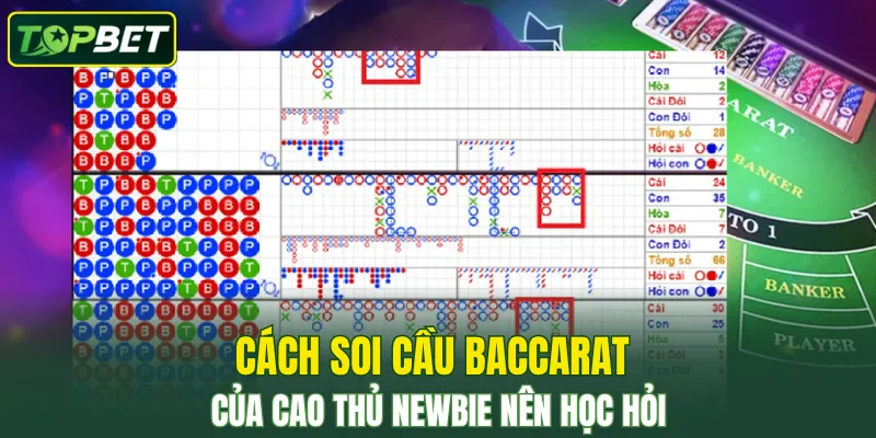 Cách soi cầu Baccarat của cao thủ, newbie nên học hỏi