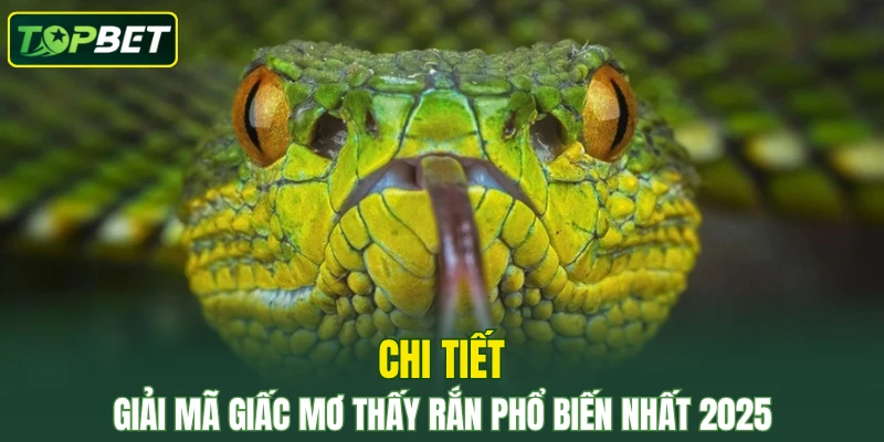 Chi tiết giải mã giấc mơ thấy rắn phổ biến nhất 2025