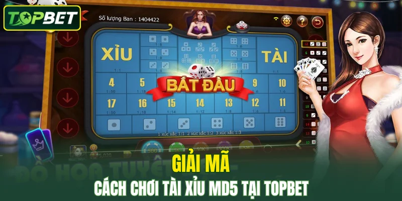 Giải mã cách chơi tài xỉu MD5 tại TOPBET