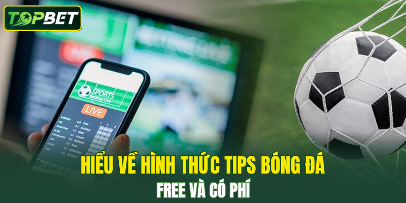 Hiểu về hình thức tips bóng đá free và có phí 