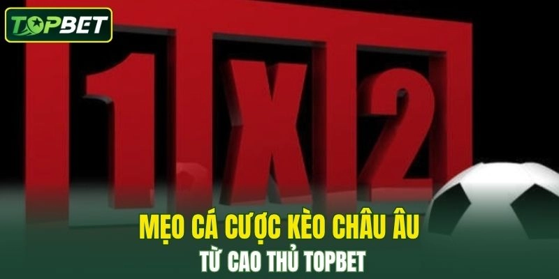 Mẹo cá cược kèo châu Âu từ cao thủ TOPBET