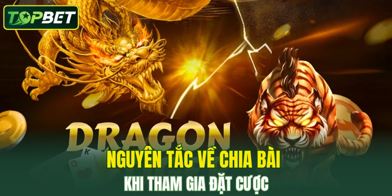 Nguyên tắc về chia bài khi tham gia đặt cược