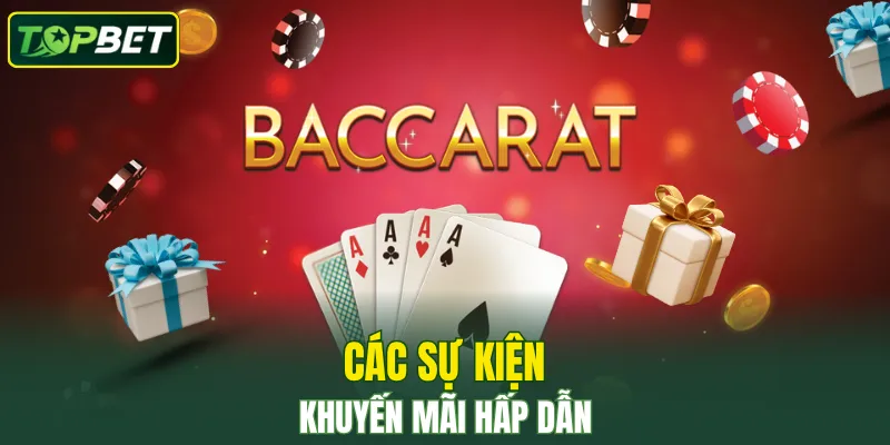 Nhà cái đáng tin cậy là yếu tố then chốt giúp thành công hơn