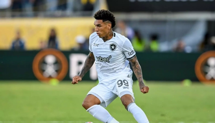 Palmeiras vs Botafogo