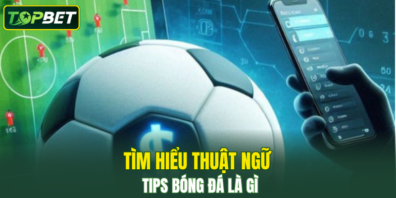 Tìm hiểu thuật ngữ tips bóng đá là gì