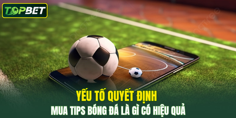 Yếu tố quyết định mua tips bóng đá là gì để có hiệu quả