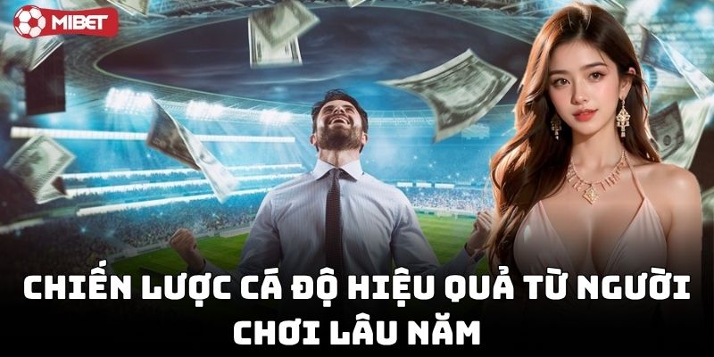 Học hỏi Bí Quyết Cá Độ từ cao thủ lâu năm