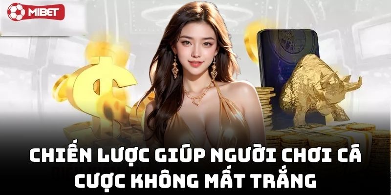 Chơi Cá Cược Không Mất Trắng với chiến lược cực chuẩn