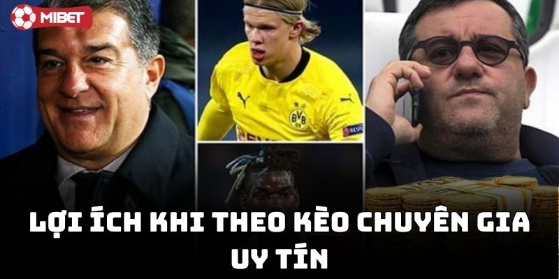 Theo Chuyên Gia Cược Hiệu Quả Không với người mới chơi