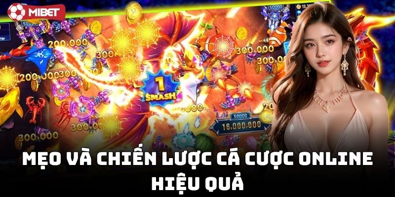Cách áp dụng Chia Sẻ Kinh Nghiệm Cá Cược Online
