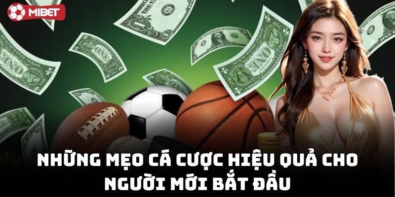 Mẹo Cá Cược Hiệu Quả giúp tăng tỷ lệ chiến thắng