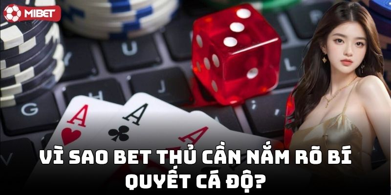 Bí Quyết Cá Độ giúp bạn tránh sai lầm cơ bản