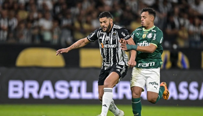 Palmeiras vs Atletico MG