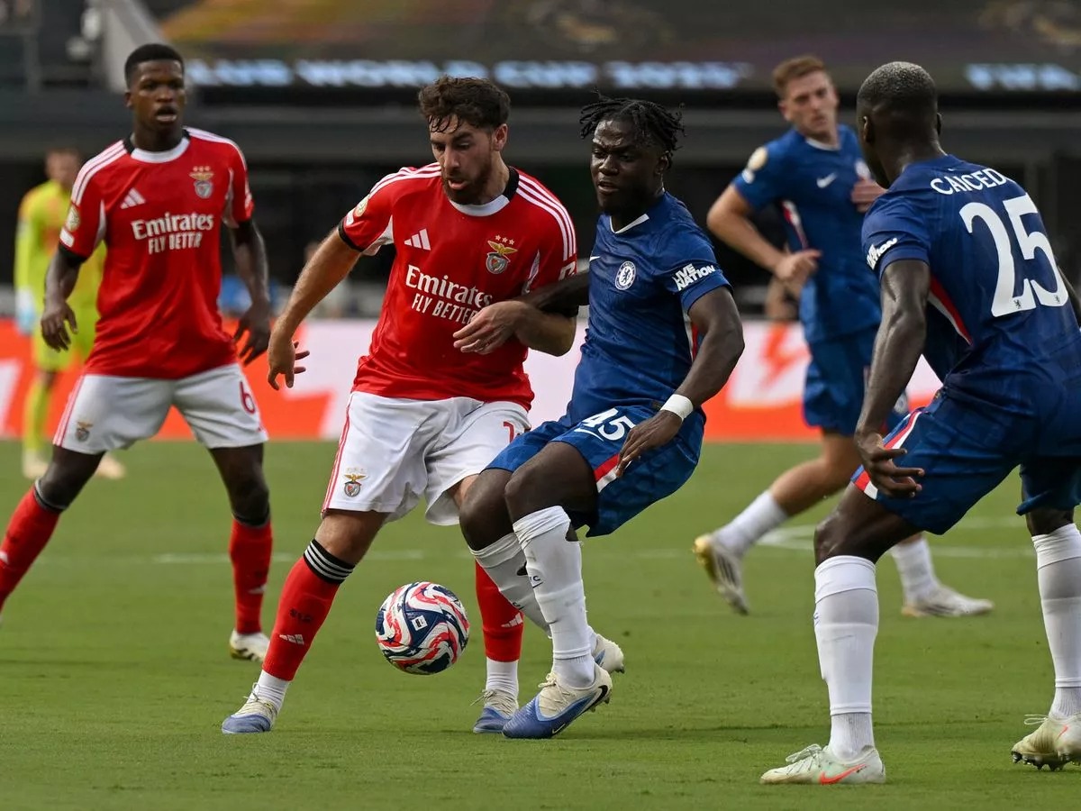 Nhà cái 8LIVE dự đoán tỷ số trận đấu - Palmeiras vs Chelsea