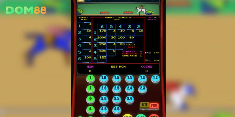 Tổng quan thông tin về Đua Ngựa Máy Xèng tại DOM88