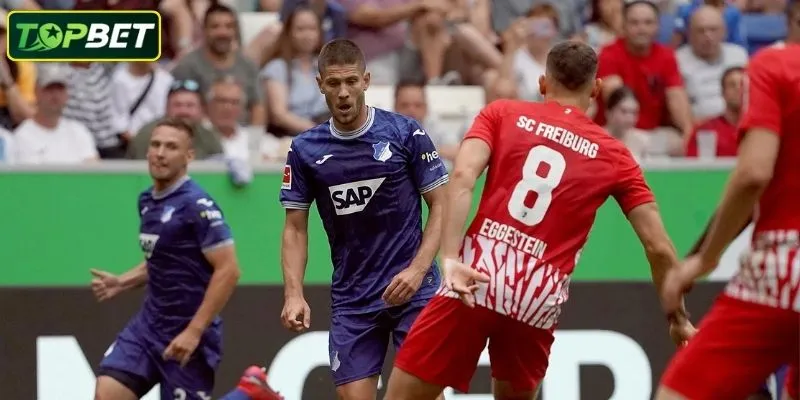 Tỷ lệ kèo chi tiết cho trận đấu SGV Freiberg Vs TSG Hoffenheim