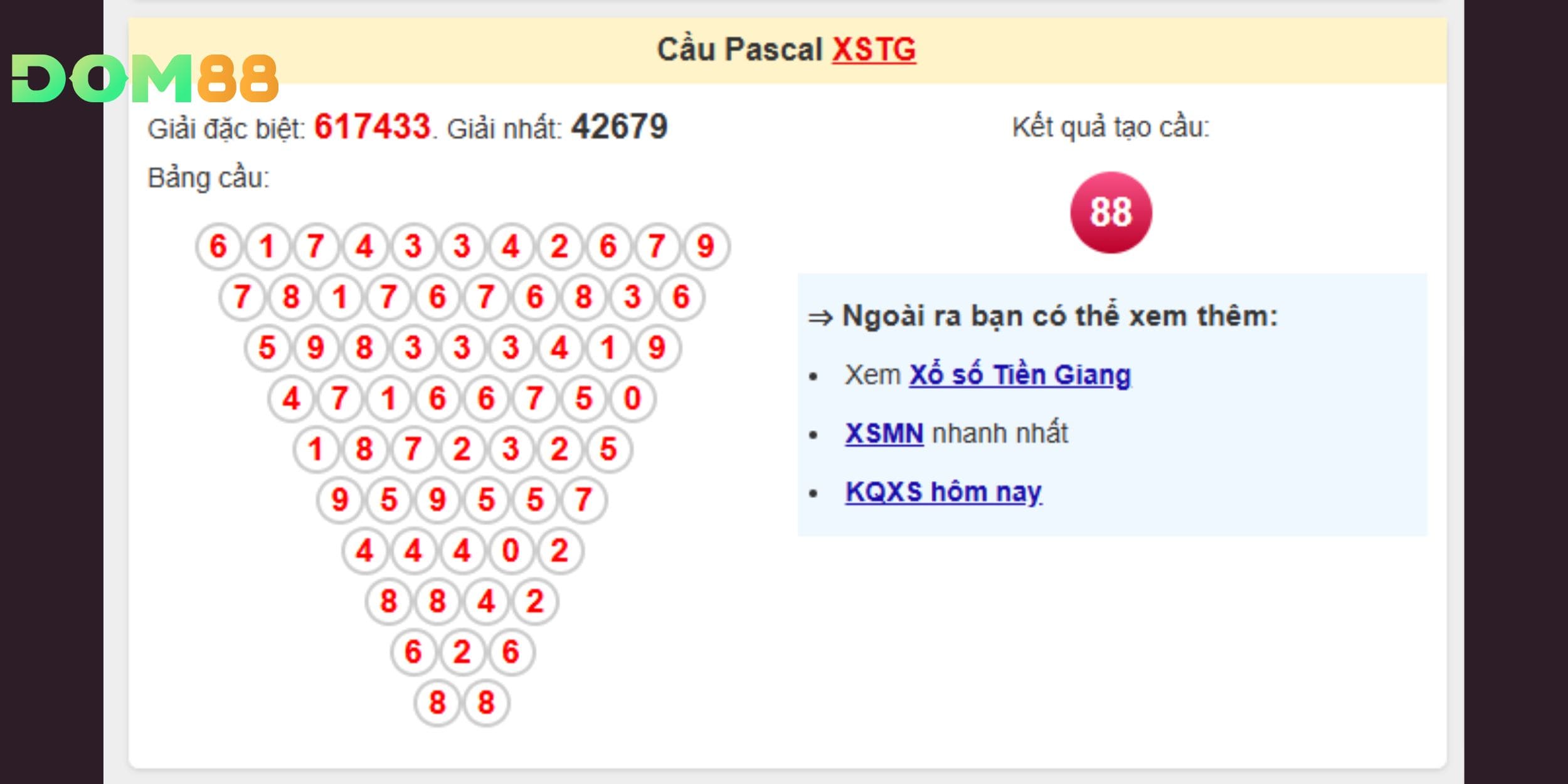 88 là con số nổi bật từ cầu Pascal Tiền Giang
