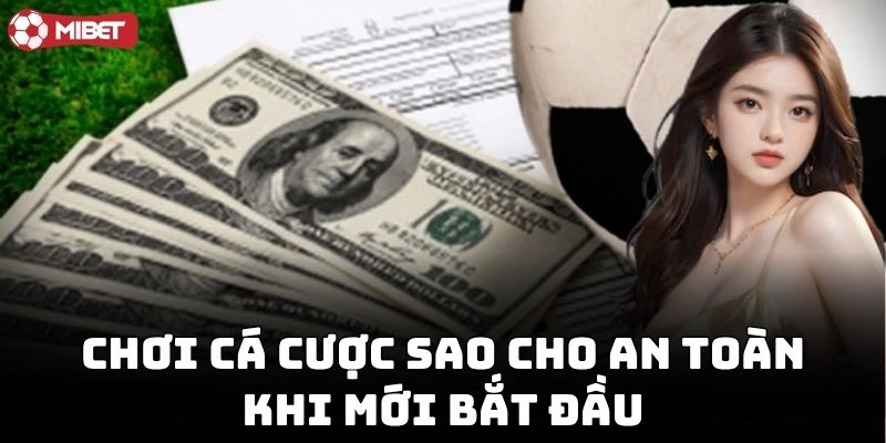 Chơi Cá Cược Sao Cho An Toàn khi mới bắt đầu