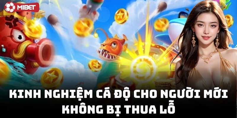 Kinh Nghiệm Cá Độ Cho Người Mới không bị thua lỗ