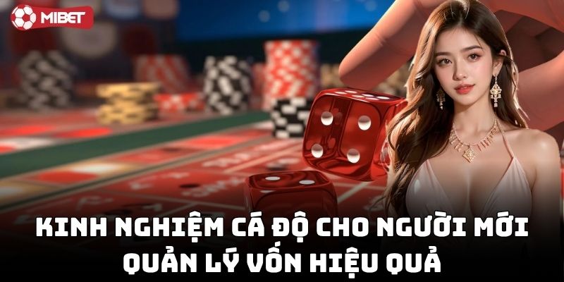 Kinh Nghiệm Cá Độ Cho Người Mới quản lý vốn hiệu quả