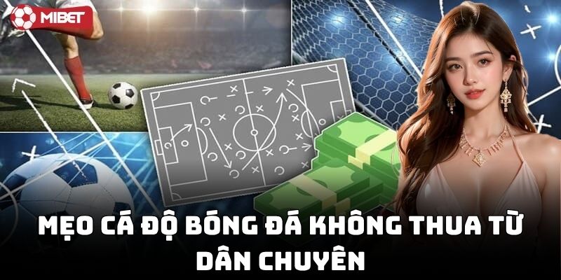 Mẹo Cá Độ Bóng Đá Không Thua từ dân chuyên