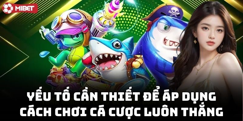 Cách Chơi Cá Cược Luôn Thắng cho người mới