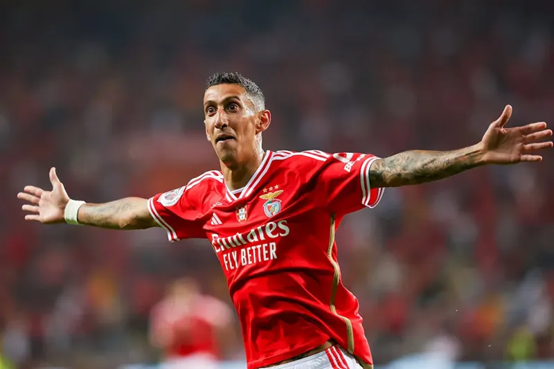 Nhận Định Bóng Đá Trận Đấu Giữa Estrela vs Benfica uk88