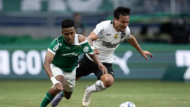 Nhận định bóng đá trận đấu giữa Botafogo RJ vs Palmeiras SP uk88