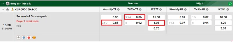 Nhận định chi tiết trận đấu giữa Sonnenhof Grossaspach vs Bayer Leverkusen uk88