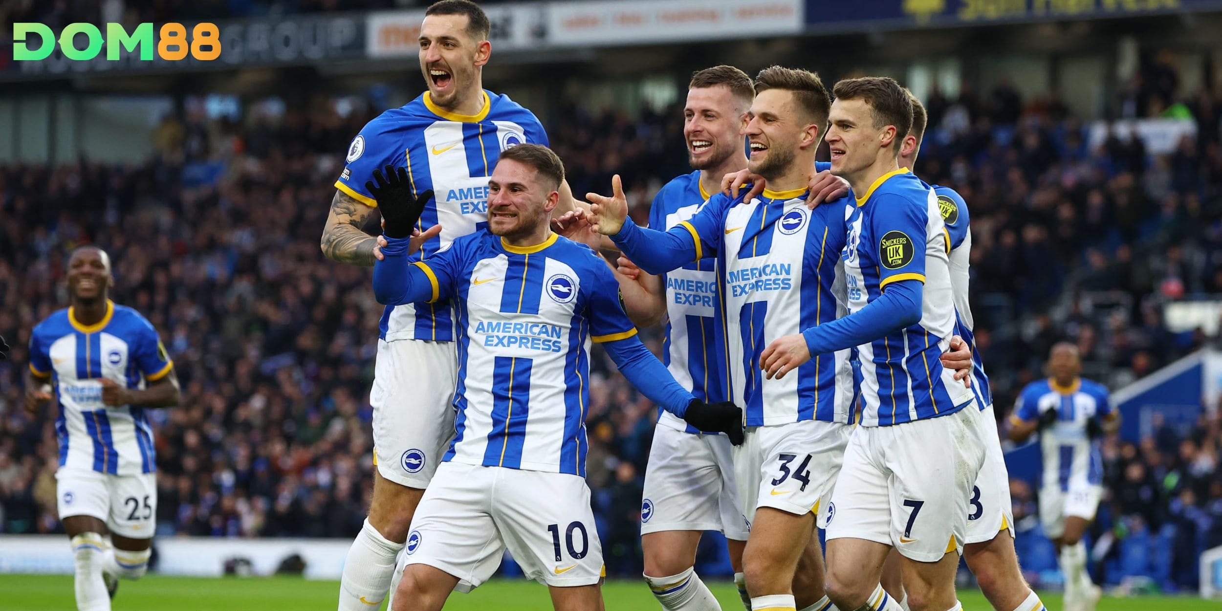 Brighton duy trì phong độ ổn định với chuỗi bất bại ấn tượng