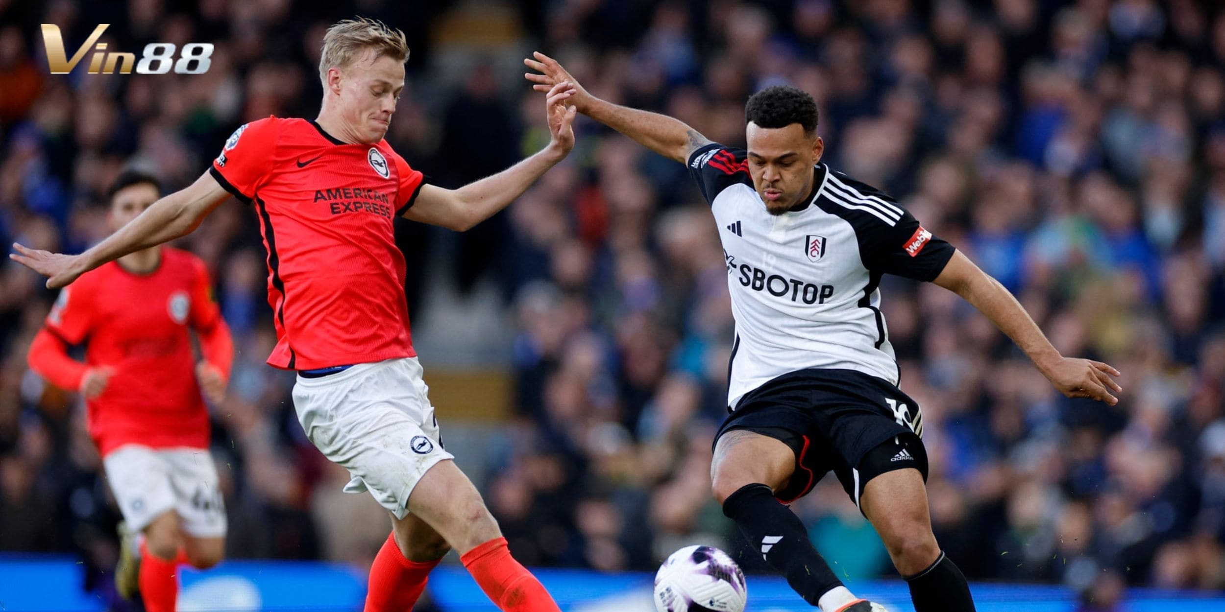 Brighton vs Fulham hứa hẹn tạo nên thế trận đôi công hấp dẫn