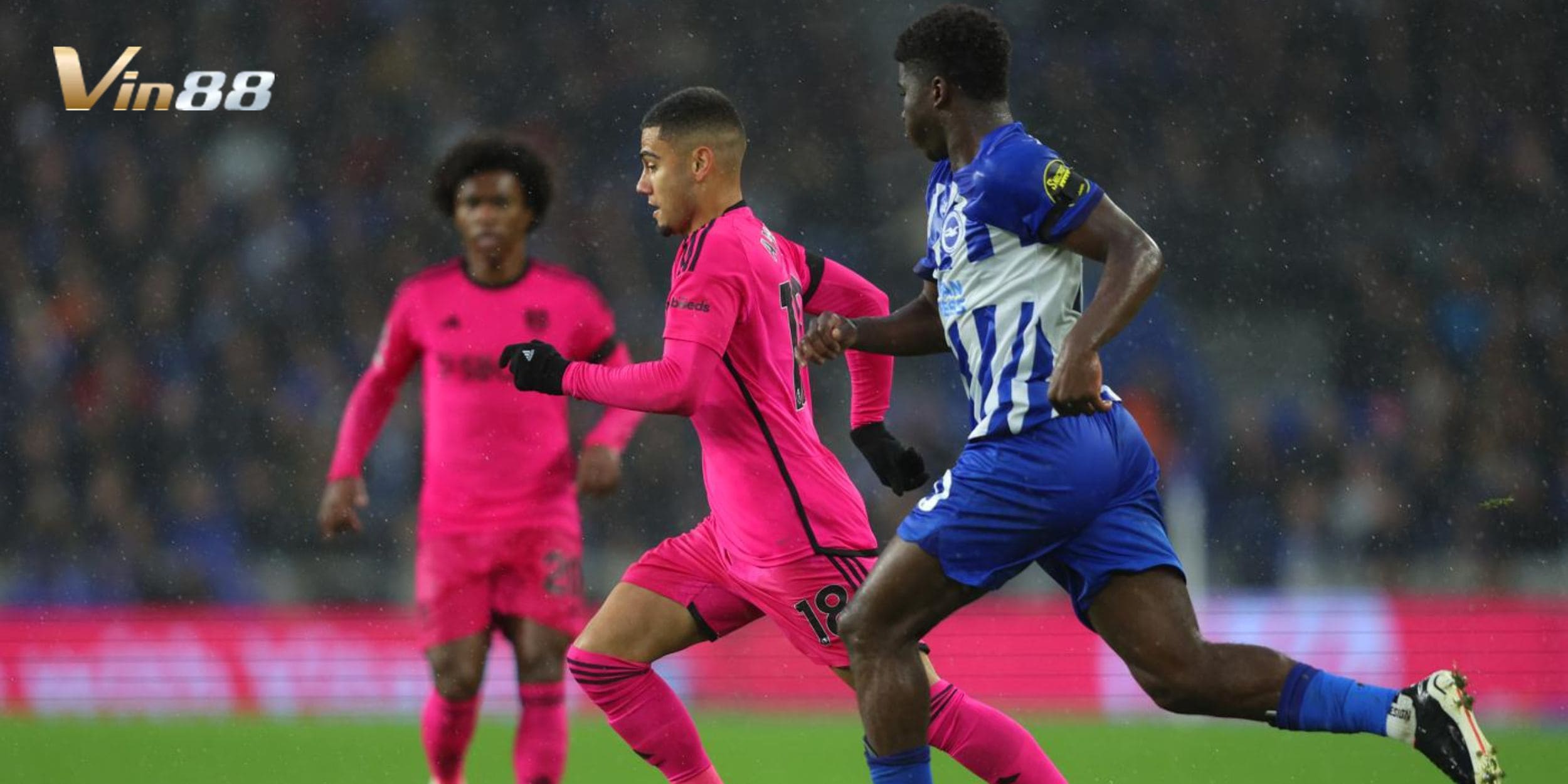 Đội hình dự kiến Brighton vs Fulham trước giờ G