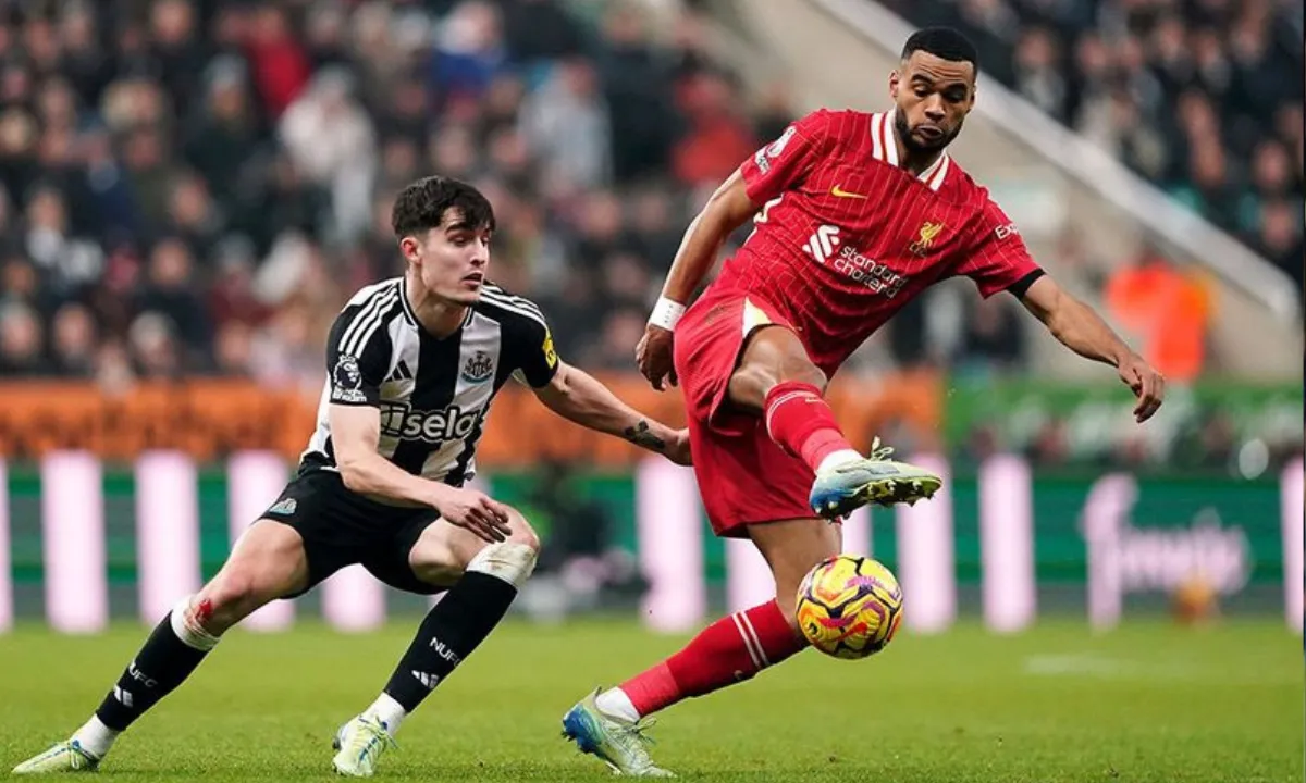 Phân tích phong độ Newcastle vs Liverpool