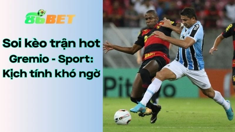 Soi kèo nhà cái 86BET Gremio - Sport: 06h30 - 11/08/2025 - Brazil Serie A