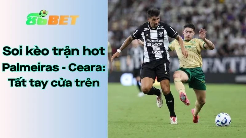 Soi kèo nhà cái 86BET Palmeiras - Ceara: 02h00 - 11/08/2025 - Brazil Serie A