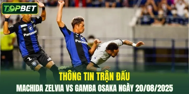 Thông tin trận đấu Machida Zelvia Vs Gamba Osaka ngày 20/08/2025 