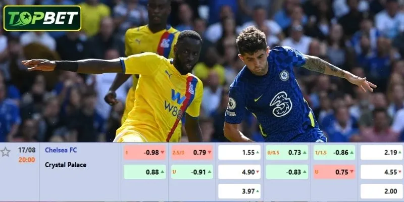 Tỷ lệ kèo chi tiết cho trận đấu Chelsea Tỷ lệ kèo chi tiết cho trận đấu Chelsea Vs Crystal PalaceCrystal Palace