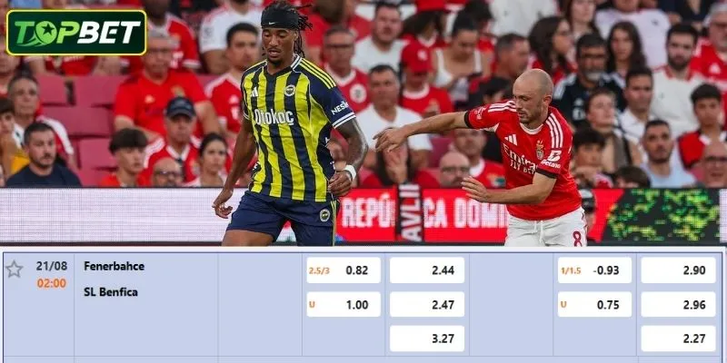 Tỷ lệ kèo chi tiết cho trận đấu Fenerbahce Vs Benfica