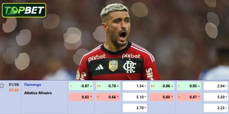 Tỷ lệ kèo chi tiết cho trận đấu Flamengo Vs Atletico MG 