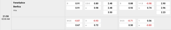Fenerbahce vs Benfica