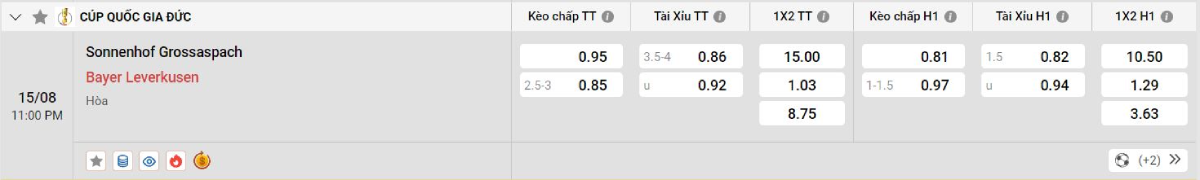 Soi kèo bóng đá Grossaspach vs Leverkusen